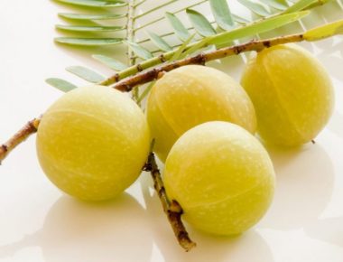 indian gooseberry amalaki amla
