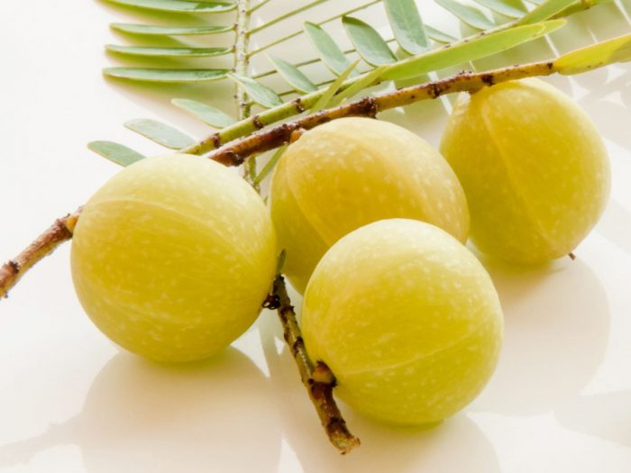 indian gooseberry amalaki amla