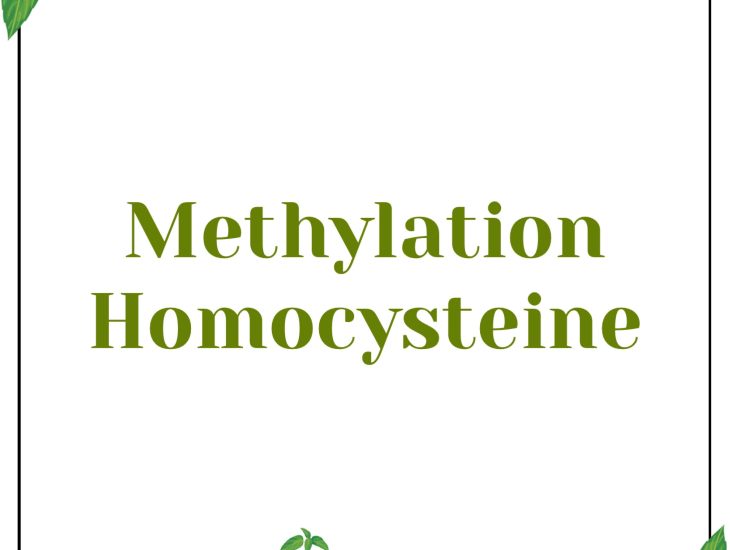 methylation