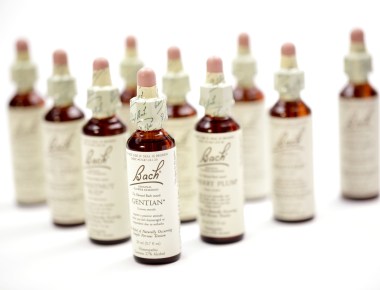 BACH flower remedies