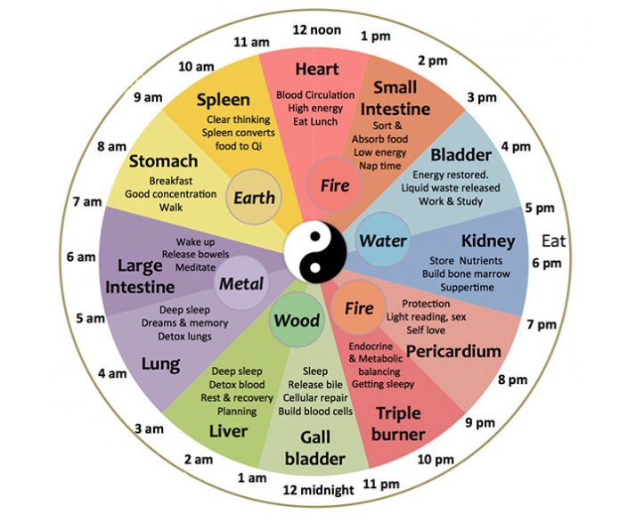 chinese-body-clock (1)